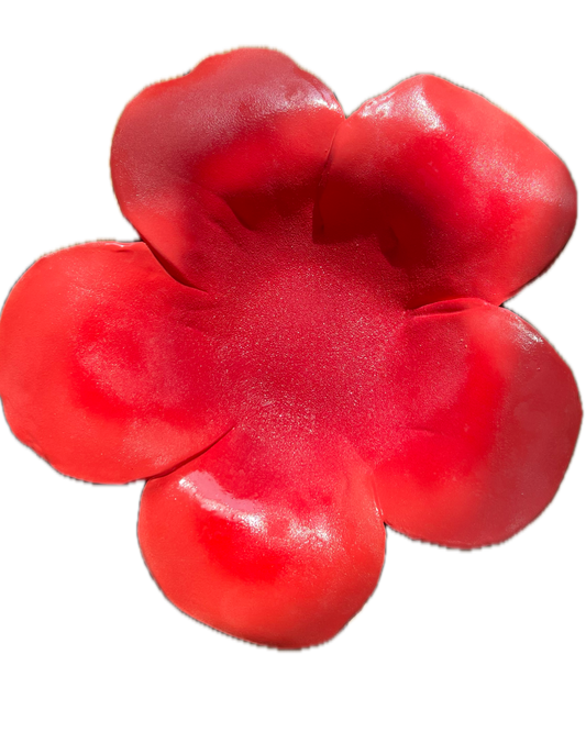 hibiscus bowl - watermelon