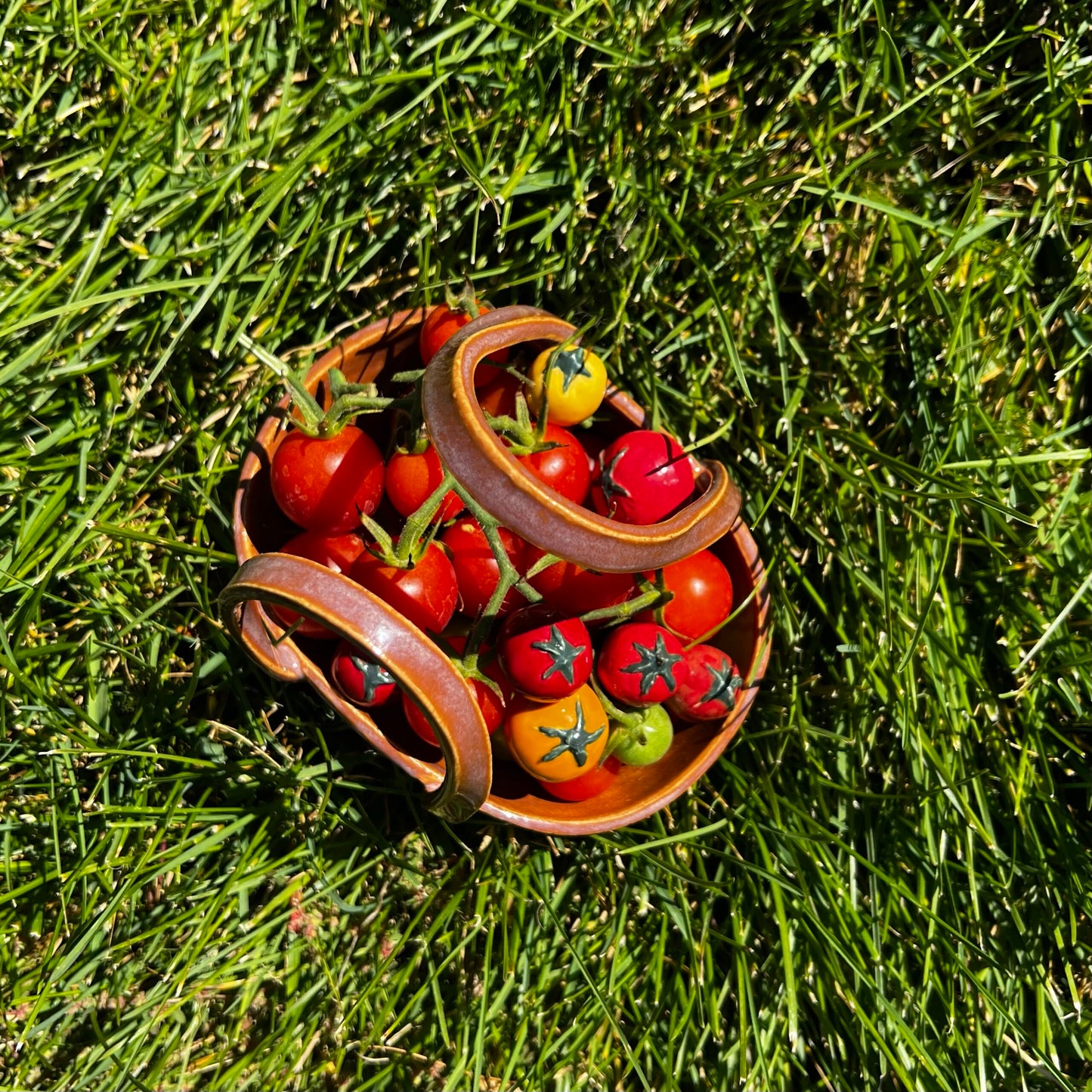 cherry tomatoes image 2