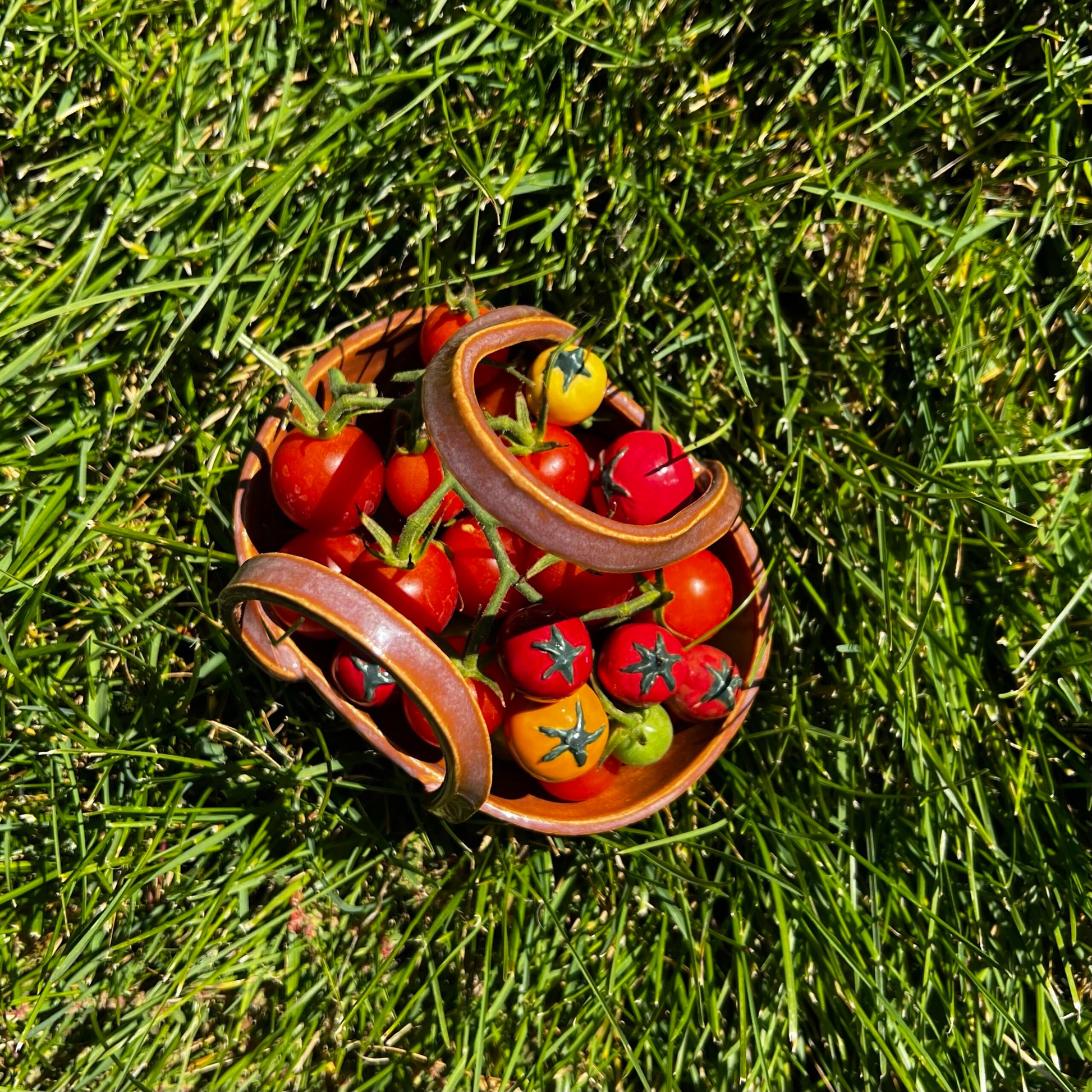 cherry tomatoes image 2