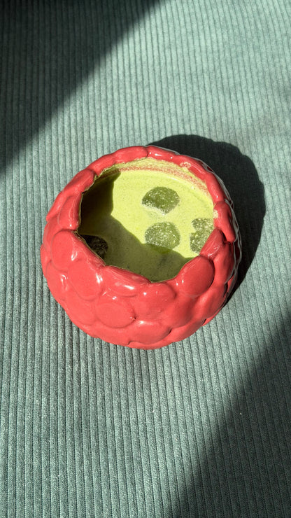 raspberry cup