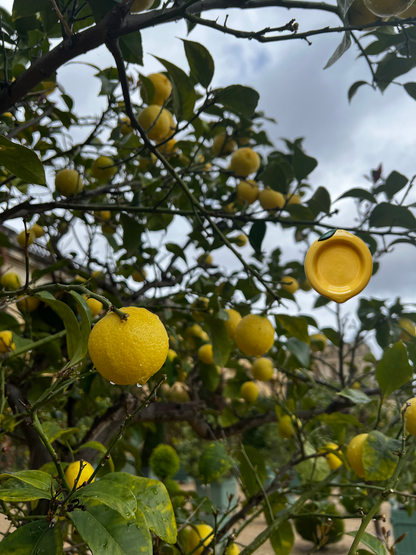 lemon bubble platter