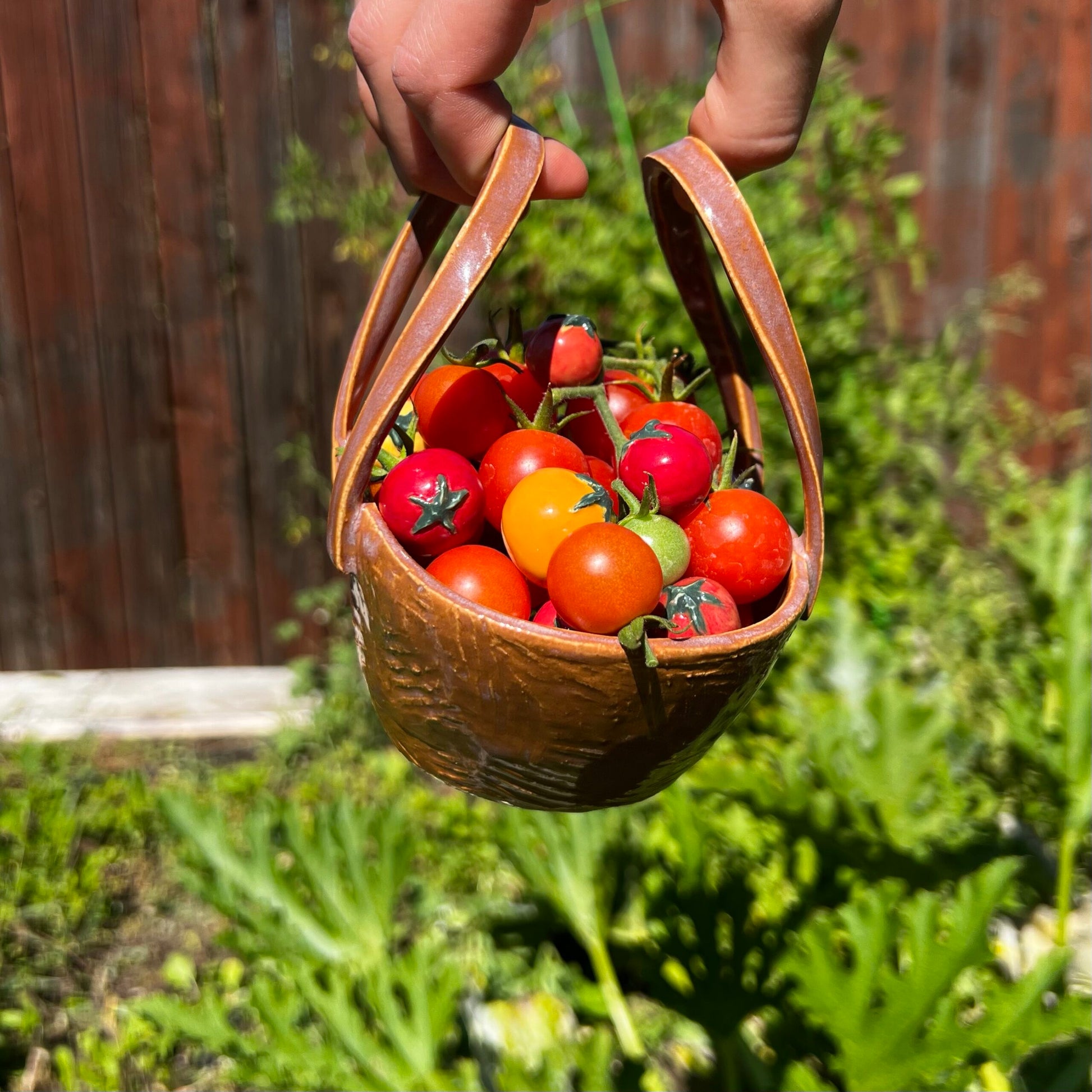 cherry tomatoes image 3