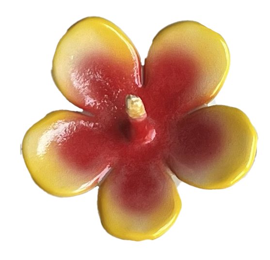 hibiscus ring holder
