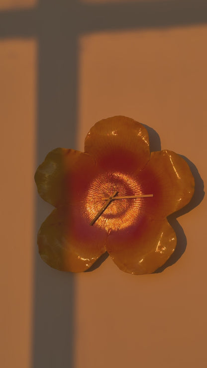 hibiscus clock in sunset