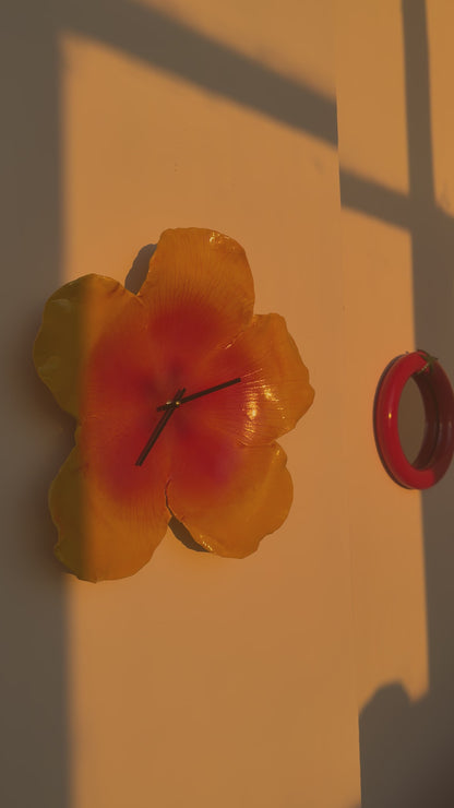 hibiscus clock in sunset