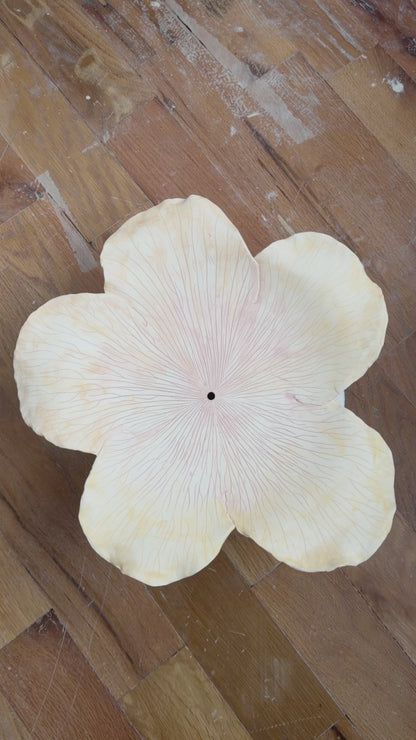 hibiscus clock in sunset